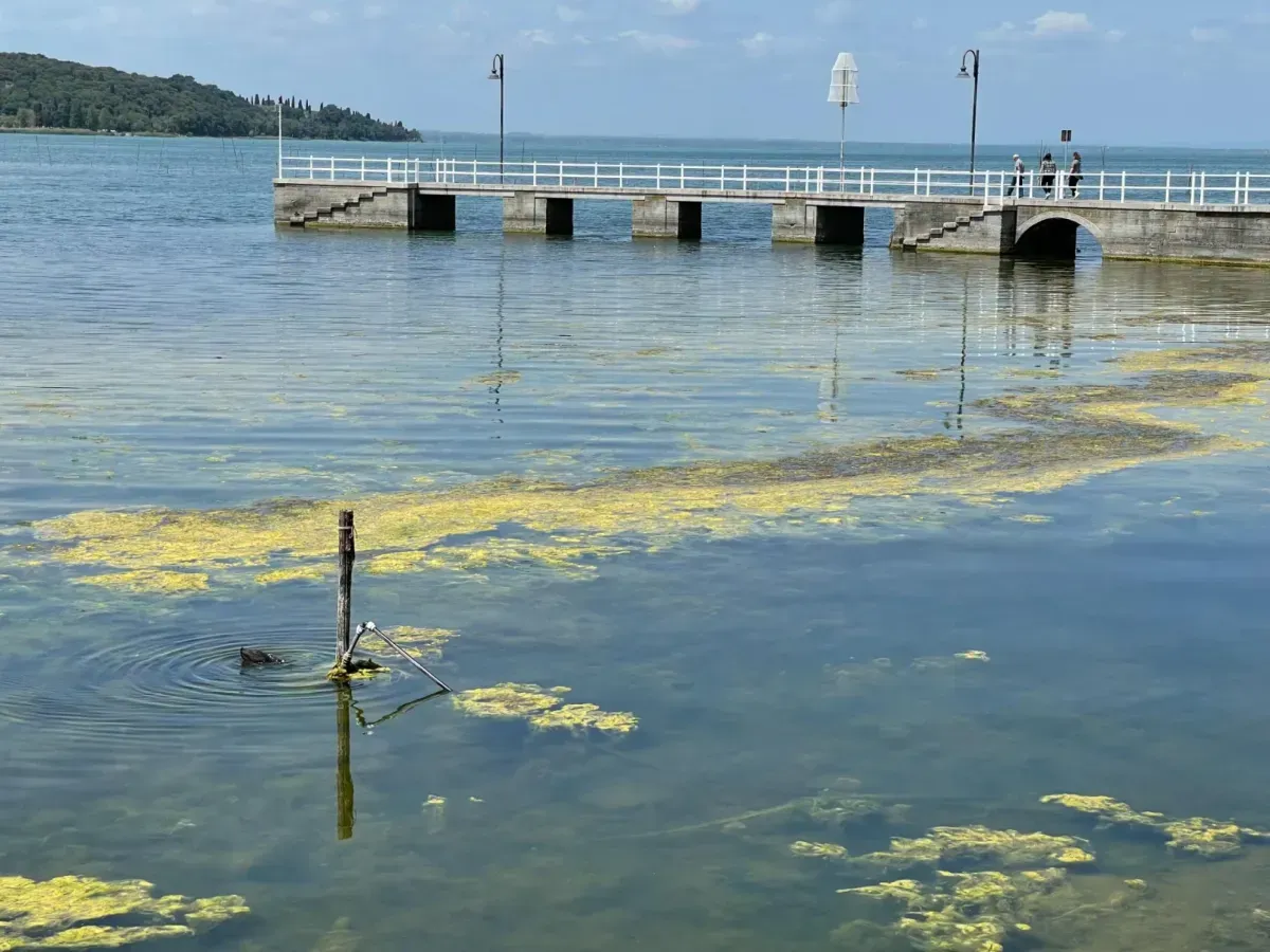 Castiglione del Lago, ordigno bellico riemerge dal fondale del Trasimeno: risale alla Seconda guerra mondiale