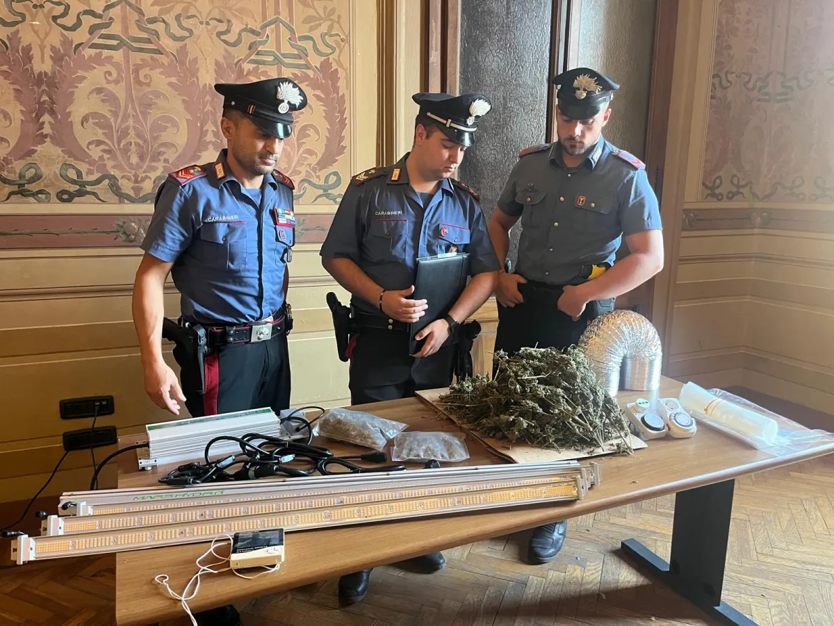 Foligno, 30enne arrestato con oltre mezzo chilo di marijuana: sequestrata attrezzatura indoor